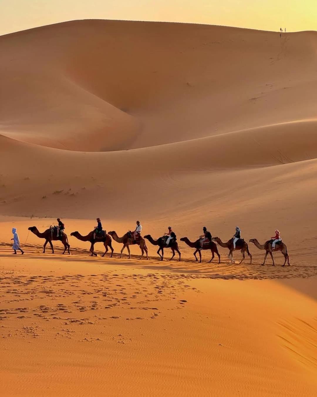Hammadi Desert Camp 梅尔祖卡 外观 照片